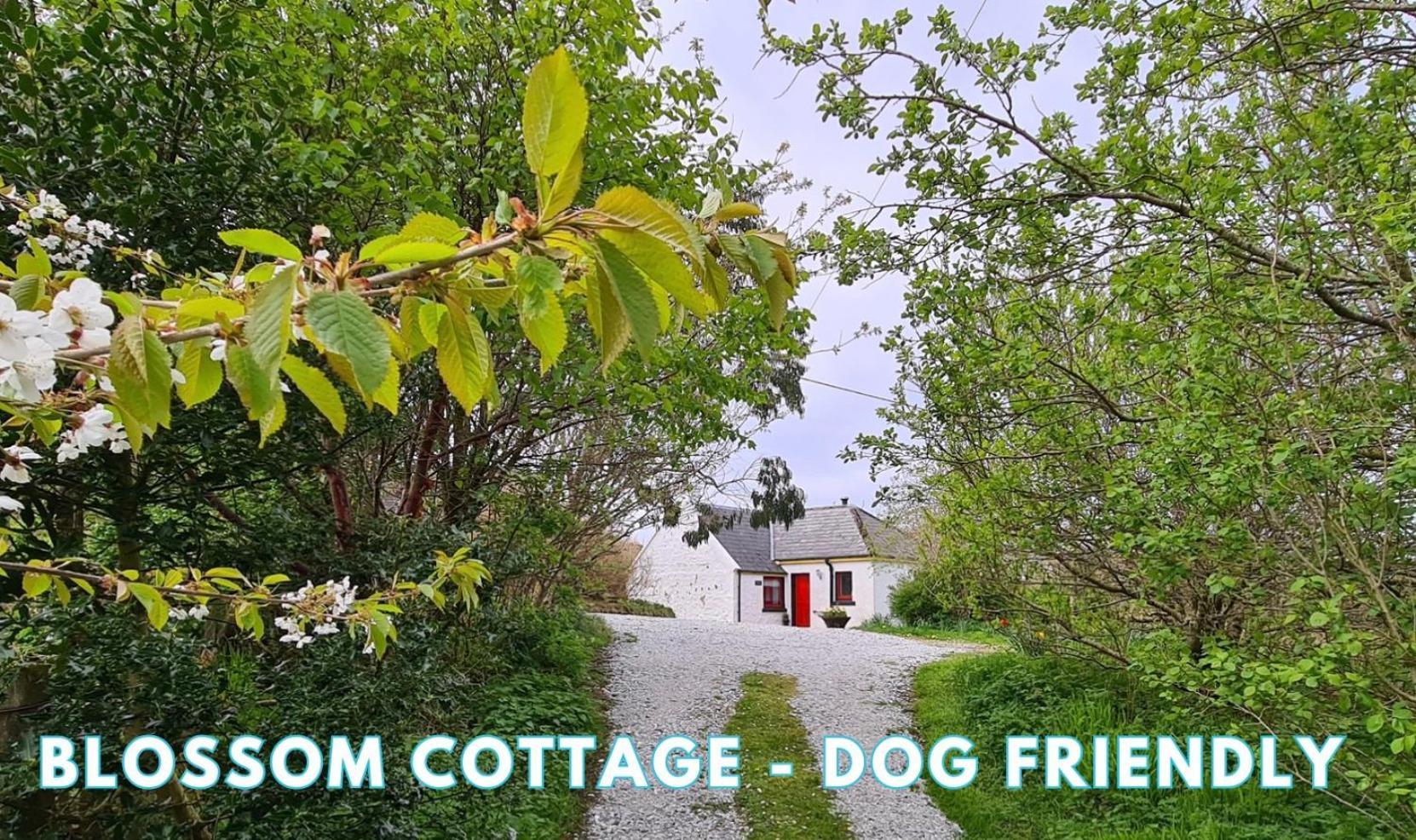 Villa Araucaria Croft Skye Dunvegan  Esterno foto